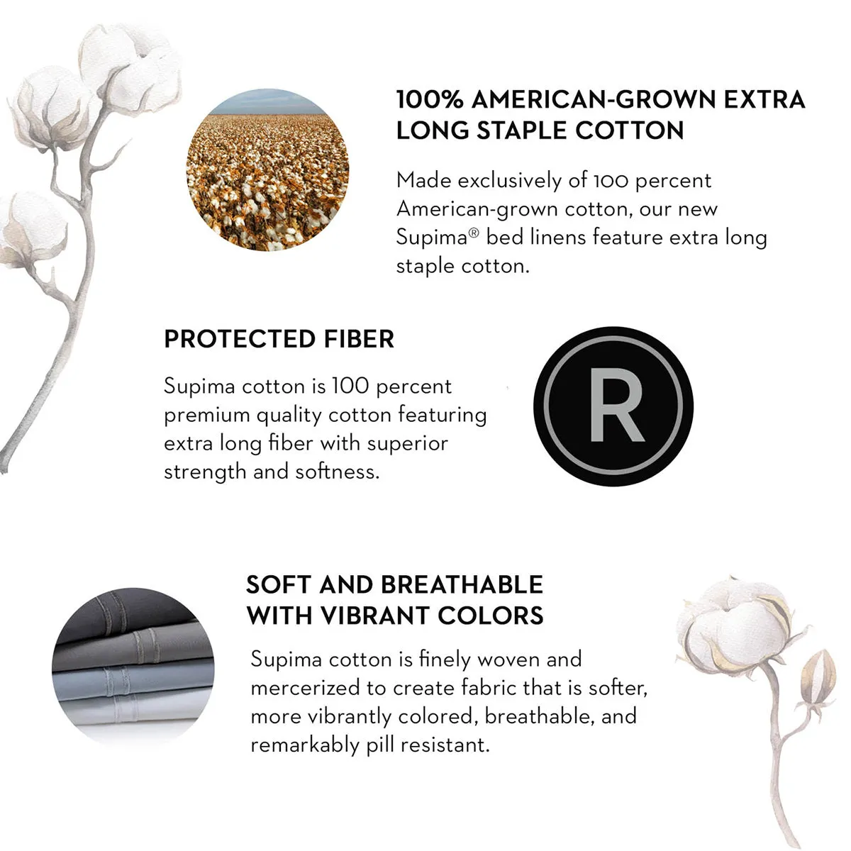 Malouf Natural Supima® Cotton Sheet Set